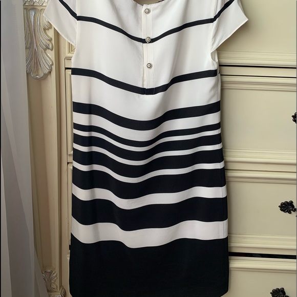 EVER NEW dress - Picture 3 of 8